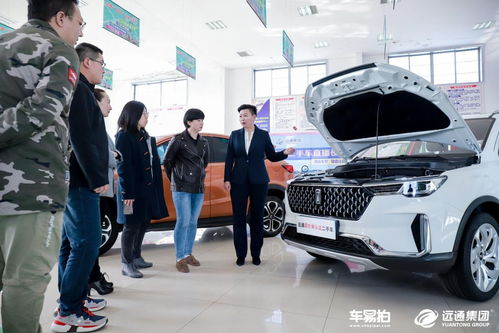 車易拍構筑二手車數字化動脈,提高經銷商核心競爭力