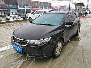 信陽悅達起亞汽車公司,二手車經銷商頻道